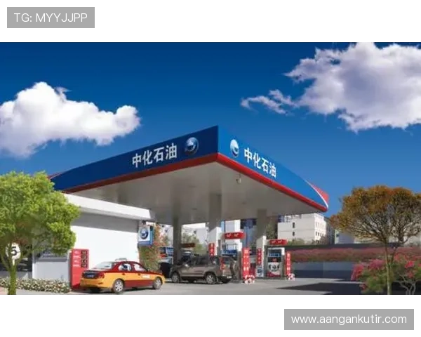 利来国际ag集团：企业社会责任与可持续发展战略分析