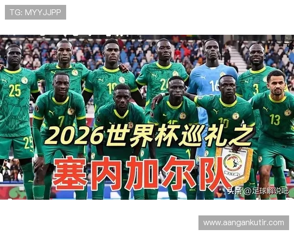 2026年世界杯法国队与塞内加尔队伤病情况对比赛结果的可能影响分析